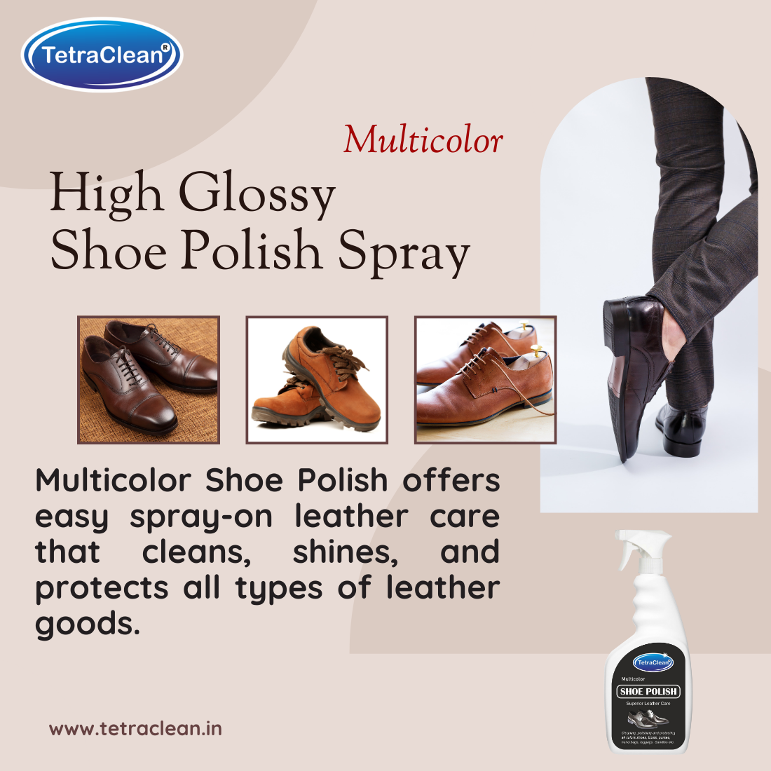 TetraClean Multicolor Shoe Polish Spray – 500ml